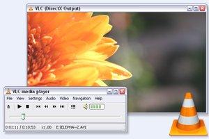  VLC Media Player Portable 2.2.8