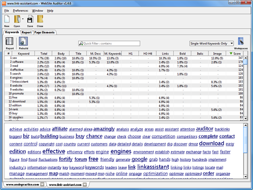  WebSite Auditor 1.11.11