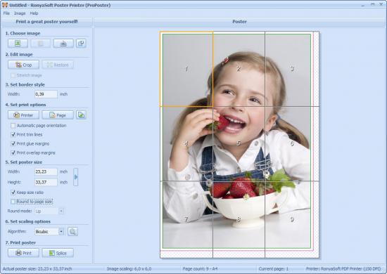  RonyaSoft Poster Printer 3.01.19