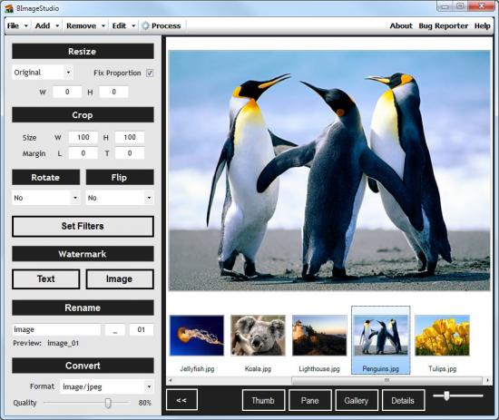  BImageStudio 1.1.1