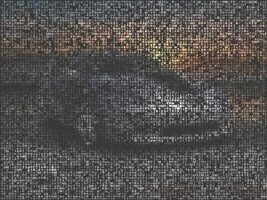  Matrix Images 1.2