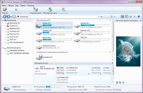 Скриншот RS Partition Recovery 1.0