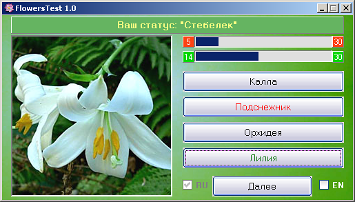 Скриншот FlowersTest 1.0