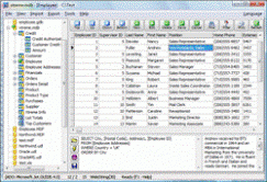  xBaseView Database Explorer 10.0