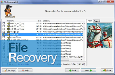  SWMole File Recovery 2.2.0