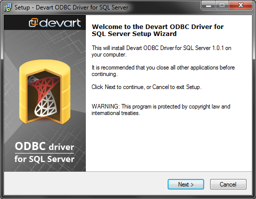  SQL Server ODBC  1.1