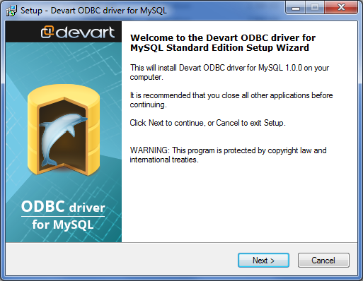  MySQL ODBC  1.1