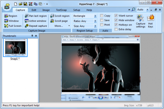 Скриншот HyperSnap 6.90.04