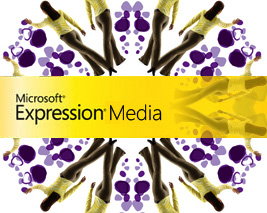  Microsoft Expression Media 1.0