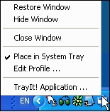 Скриншот TrayIt! 4.6.5.1