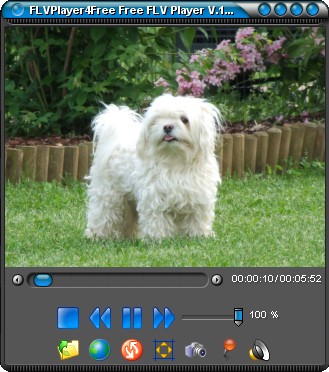  FLVPlayer4Free 6.7.0.0