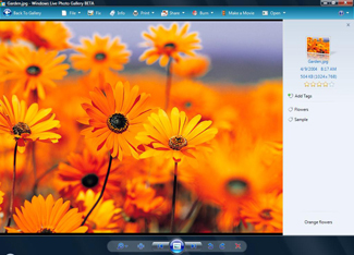  Windows Live Photo Gallery 12.0.1308.1023