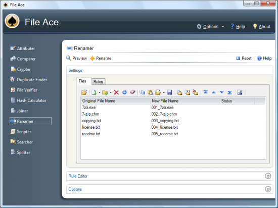 Скриншот File Ace 2.05