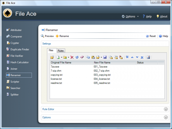  File Ace 2.05