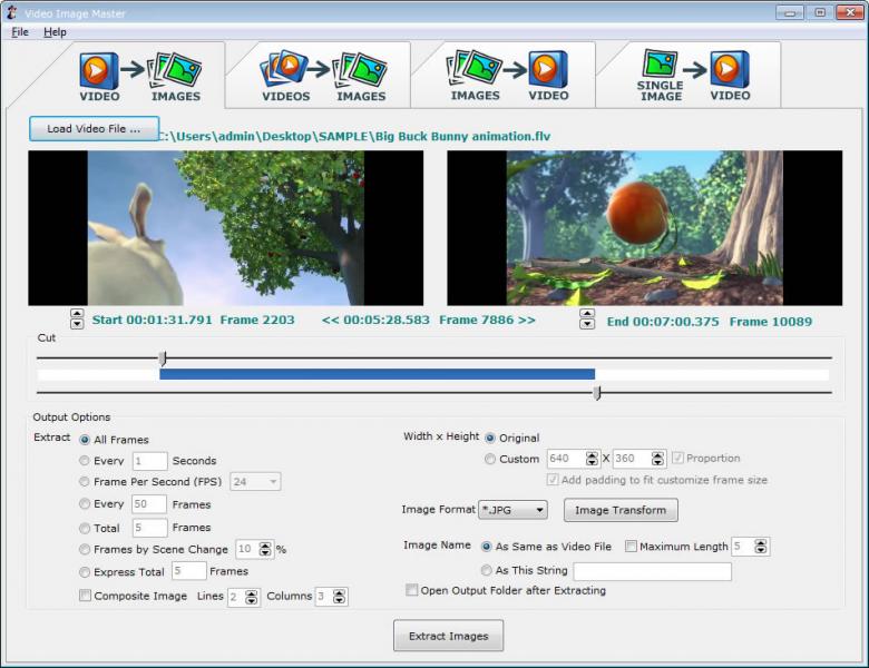  Video Image Master 7.9.8