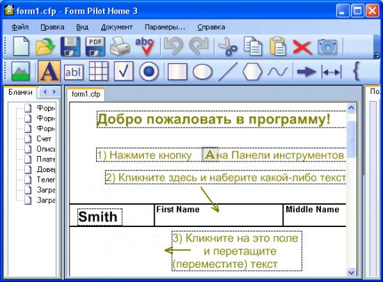  Form Pilot Home 2.66