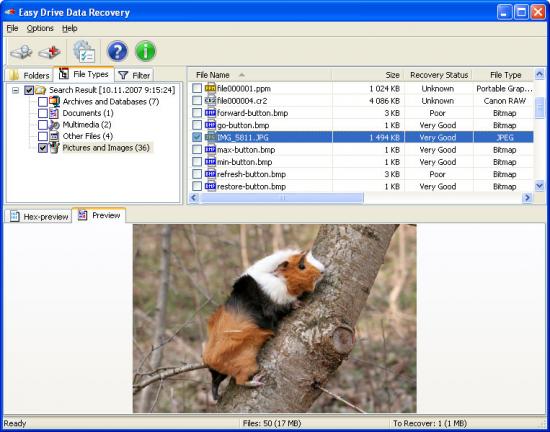 Скриншот Easy NTFS Data Recovery 3.0