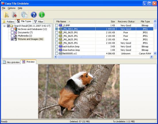 Скриншот Easy NTFS File Undelete 3.0