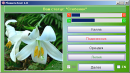 Скриншот 1 программы FlowersTest 1.0