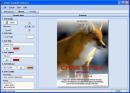  1  Poster Forge Professional  1.02.03