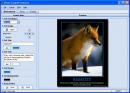  3  Poster Forge Professional  1.02.03