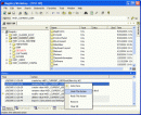 Скриншот 2 программы Registry Workshop 5.0.1