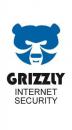  1  Grizzly Pro 1.0.40.344