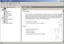 Core Force 0.95.172