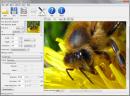 PhotoZoom Pro 7.1.0