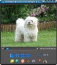 FLVPlayer4Free 6.7.0.0