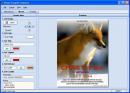 Poster Forge Professional  1.02.03