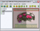 Easy Watermark Creator 2.6