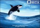 Orca Browser 1.2.6