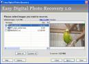 Easy Digital Photo Recovery 3.0