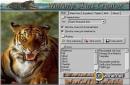 Winamp Skins Creator 1.1